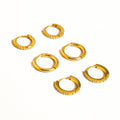 Claude CZ Hoops Earring Set