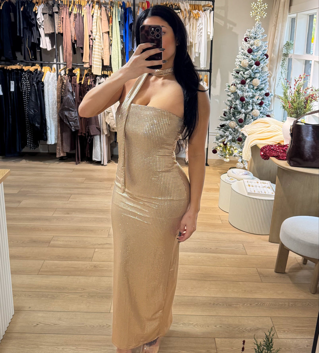 Sparkle Season Maxi Dress